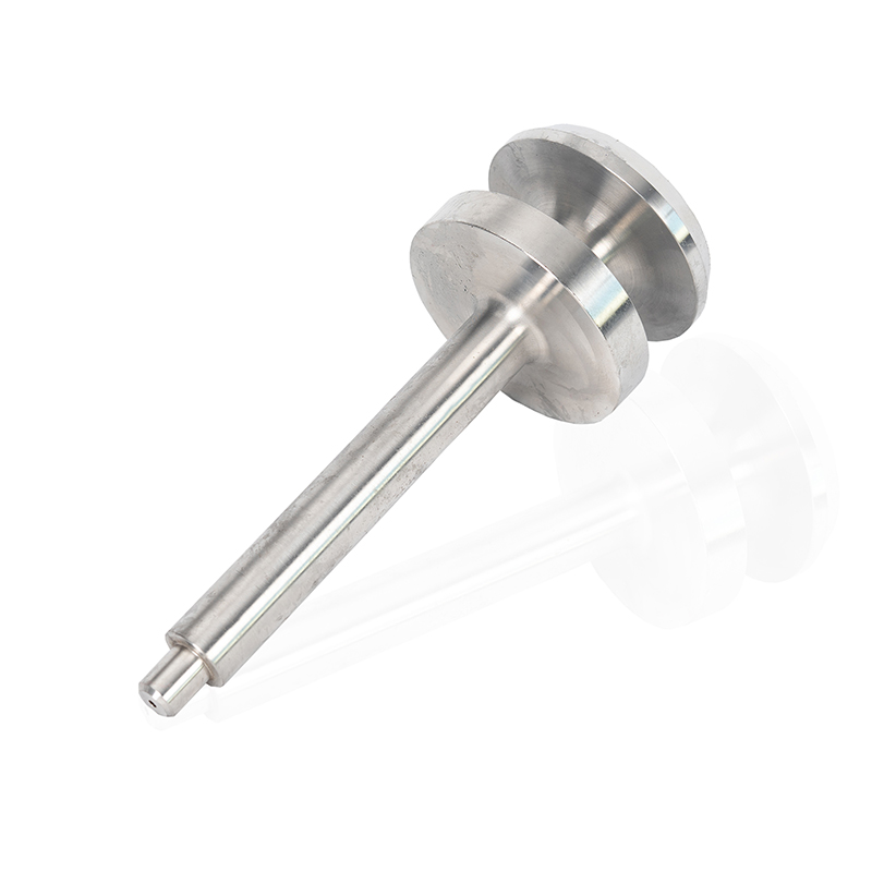 Plug valvae derivantur, immaculatam ferro partes pro valvulae