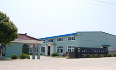MMVI